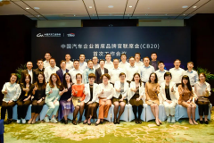 当奔腾十五年,遇见“中国汽车品牌向上发展专项行动”
