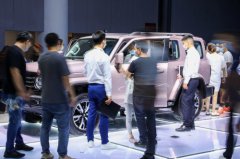 已成城市SUV“新物种”，坦克300城市版以个性取胜